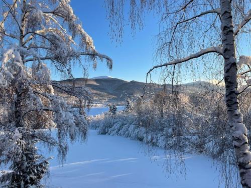 斯梅瑞克Adamówka Smerek的冬季享有河流的雪覆盖树木美景