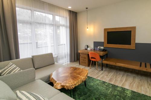 亚列姆切MORVA Premium Spa Resort的带沙发、桌子和电视的客厅