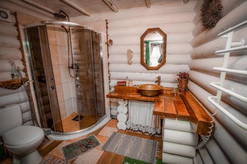 Country house Domik v derevne的一间浴室