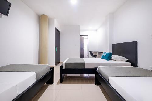 巴兰卡韦梅哈Ayenda RM的一间设有两张床和椅子的房间