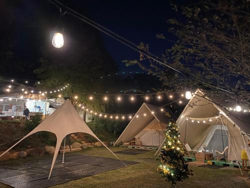 桃园市晃晃印地安帐棚露营区的一组帐篷,配有灯和圣诞树
