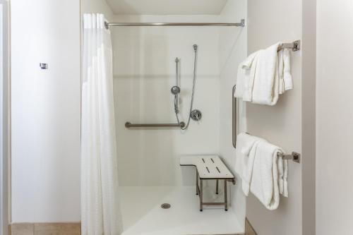 斯普林菲尔德Holiday Inn Express & Suites - Springfield North, an IHG Hotel的带淋浴和浴帘的浴室