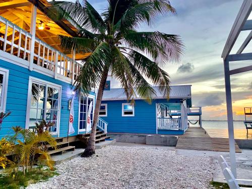 乌蒂拉The Odyssey Resort Utila的海滩上的蓝色房子,棕榈树