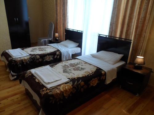 塔什干塔什干加翁吉尔住宿加早餐旅馆的配有窗户的酒店客房内的两张床