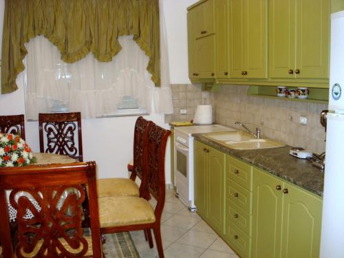蒙纳斯提拉奇Kristallia Rooms的厨房配有绿色橱柜和水槽