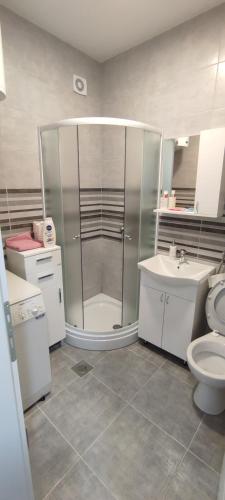 比耶利纳Stan na dan Bijeljina Niki的带淋浴、卫生间和盥洗盆的浴室