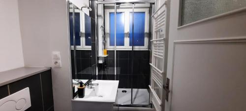 敦刻尔克Appartement Entre terre et mer的一间带水槽和镜子的浴室