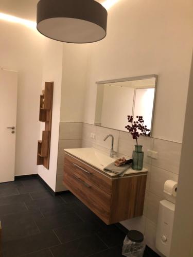 布兰肯堡Altstadtjuwel的一间带水槽和镜子的浴室