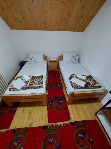 新瓦罗什Domaćinstvo Sindžirević的红色地毯的客房内的两张床