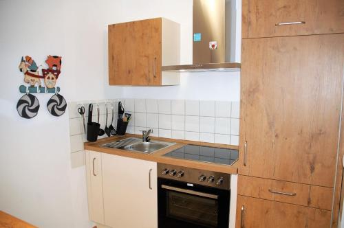 恩茨克勒斯特勒Ferienwohnung mit Aussicht的一间带水槽和炉灶的小厨房