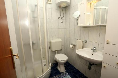 特罗吉尔斯科瑞卡公寓的一间带卫生间和水槽的小浴室