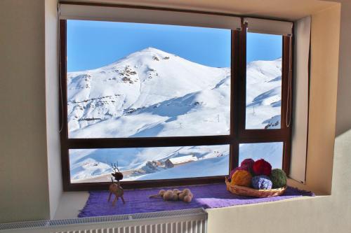 巴耶内瓦Valle Nevado Vip Apartment Ski Out-In的窗户享有雪覆盖的山脉美景