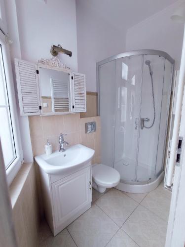 杜什尼基-兹德鲁伊Fiore的带淋浴、卫生间和盥洗盆的浴室