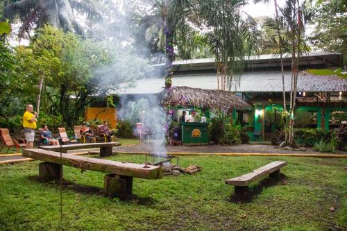 希门尼斯港La Palapa Hut Nature Hostel的公园里的一个火坑,周围的人坐在火坑旁