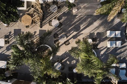 法里拉基Casa Cabana Boutique Hotel & Spa - Adults Only的享有棕榈树和长椅公园的顶部景色