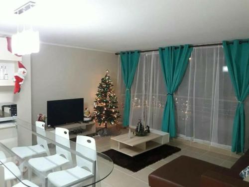 阿尔加罗沃Laguna Bahía Fernanda的客厅配有圣诞树和电视