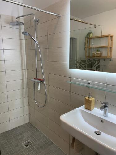 萨勒河畔哈雷NEU: Grüne Idylle nahe Hauptbahnhof & Hufeisensee的带淋浴、盥洗盆和镜子的浴室