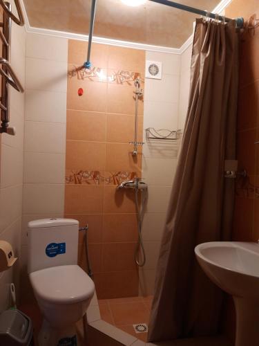 斯拉夫西克Guest House Stari Druzy的带淋浴、卫生间和盥洗盆的浴室