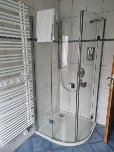 卡塞尔An den Vogelwiesen的浴室里设有玻璃门淋浴