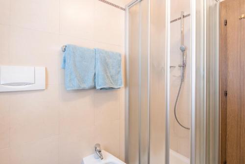 奥蒂塞伊Casa Rustica App Seceda的带淋浴、卫生间和盥洗盆的浴室