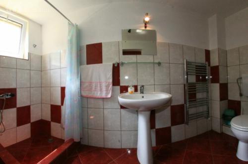 Pensiunea Vătafu的一间浴室