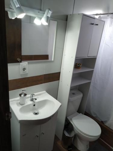 特立尼达岛Casita de Piedra 5的一间带水槽、卫生间和镜子的浴室