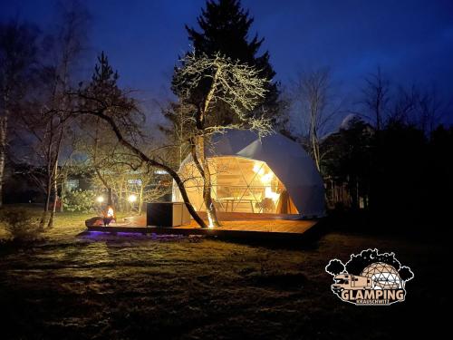 KrauschwitzGlamping Krauschwitz的夜晚在田野里带树的圆顶帐篷