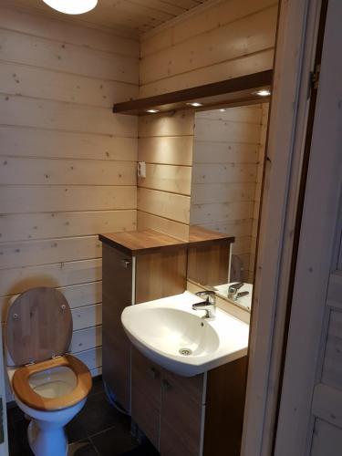 索特Air-conditioned holiday home Vutnusmaja at Iso-Syöte的一间带卫生间和水槽的浴室