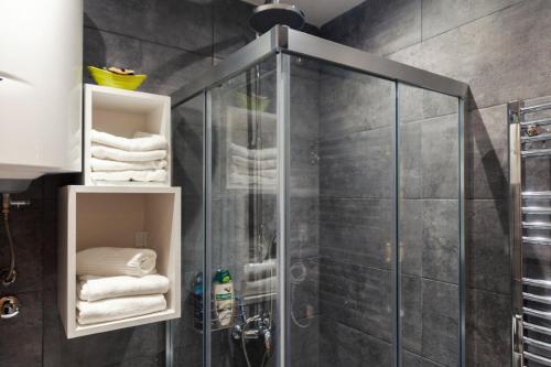 兹拉蒂博尔Per silvas apartman i spa的浴室里设有玻璃门淋浴