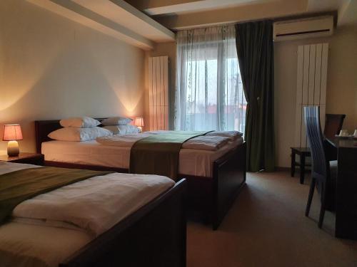阿拉德Pensiunea Mystique的酒店客房设有两张床和窗户。