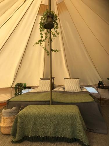 SkivarpGlamping och Gårdslägenhet Mellan himmel och hav的帐篷内的两张床,上面有一棵树