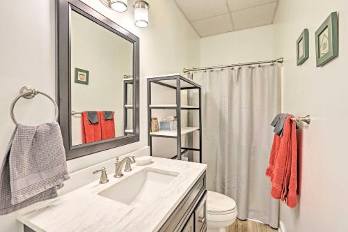 阿什维尔Lovely Mountain Apartment with Patio and Koi Pond!的一间带水槽、卫生间和镜子的浴室