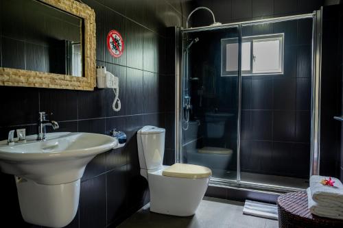 贝圣安那Tranquility villa的浴室配有卫生间、盥洗盆和淋浴。