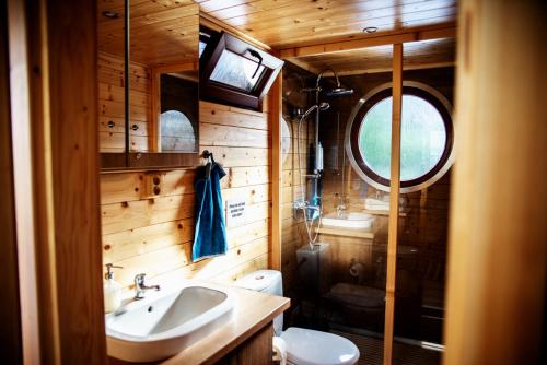 布拉格Houseboat Bonanza Prague的一间带水槽和卫生间的浴室以及窗户。