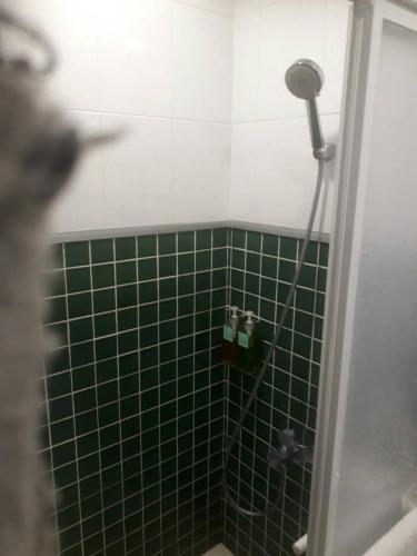 北港镇水道头咖啡民宿的浴室内设有绿色瓷砖淋浴和淋浴头