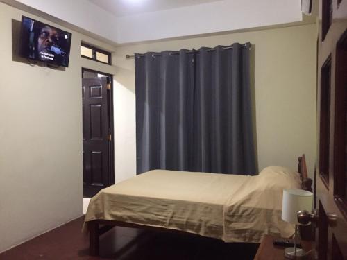 莱昂Hotel Vizcaíno León的一间卧室设有一张床和一个带电视的窗户。