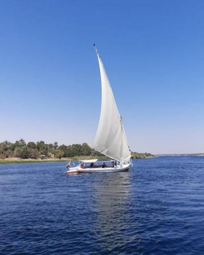 My Dream Nile Felucca