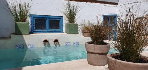 OrgazCasa Cuqui的一座拥有两株盆栽植物和蓝色窗户的游泳池