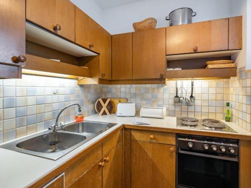 巴特霍夫加施泰因Apartment Plathner by Interhome的一个带木制橱柜和水槽的厨房