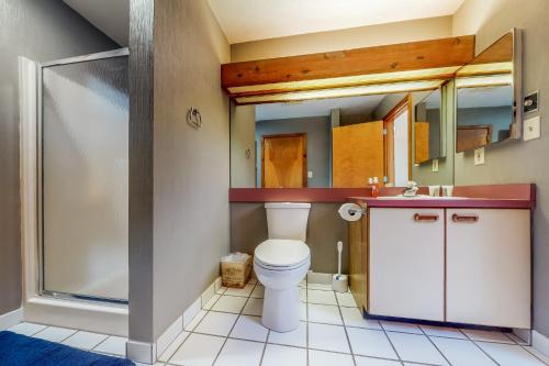 东斯特劳兹堡Shawnee Escape的一间带卫生间、水槽和镜子的浴室