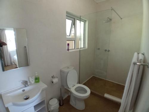 海姆维尔Sani's Rest的浴室配有卫生间、盥洗盆和淋浴。