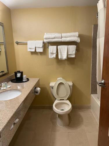 瓦恩兰Quality Inn Vineland的浴室配有卫生间、水槽和毛巾。