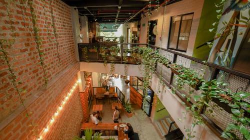 麦德林Rango Hostel Boutique的植物建筑的头顶景观