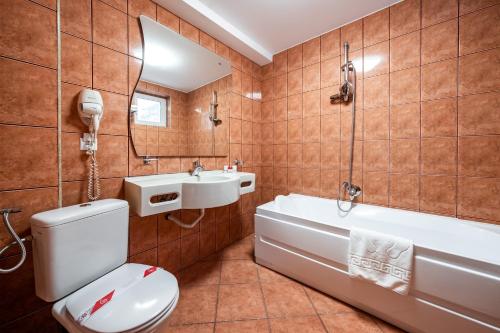 波亚纳布拉索夫Vila Diana - Poiana Brasov的浴室配有卫生间、浴缸和水槽。