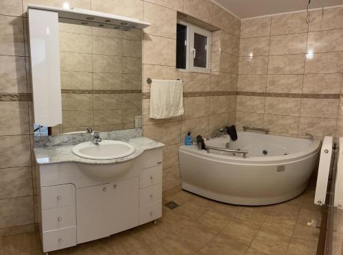 诺瓦齐- 斯特拉尼Pensiunea Novis的带浴缸和盥洗盆的浴室