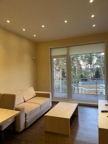 SelishcheGreen Gold Park的带沙发和大窗户的客厅