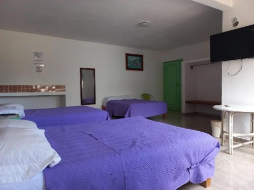 坎昆Airport Sleepy Inn的紫色床单的客房内的两张床