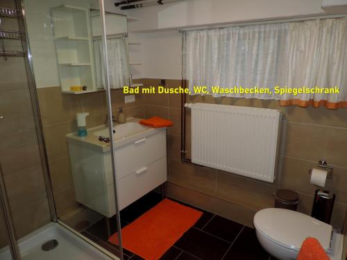 路德斯塔德·威特比DIE Ferienwohnung - Wittenberg an den Elbwiesen的带淋浴、卫生间和盥洗盆的浴室