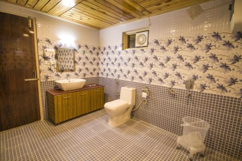 达兰萨拉Vella Marina Group of Hotels的浴室设有卫生间和水槽,墙上有鸟类。