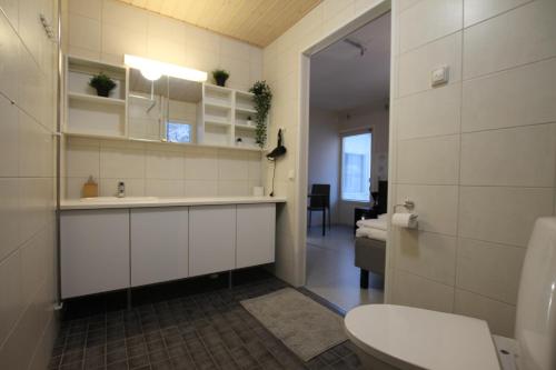 ToivakkaTeemahostel的客房内设有带水槽和卫生间的浴室